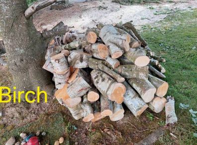 Firewood