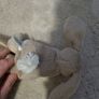 blossom bunny jellycat comforter Image 4