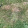 8 iron Image 3