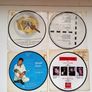 Vintage  7,,  Picture  Discs Various Image 2