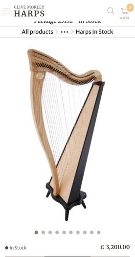 Ravenna 34 Harp in excellent condition with carry bag