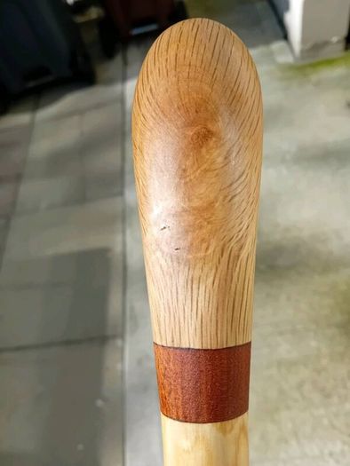 Walking stick
