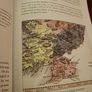 Ballyshannon / Genealogy & History/ Anthony Begley / Signed/ 1st edition/ 2011 Image 9
