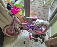 kids bike