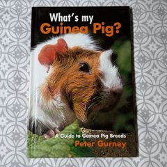 What's my Guinea Pig? A Guide to Guinea Pig Breeds