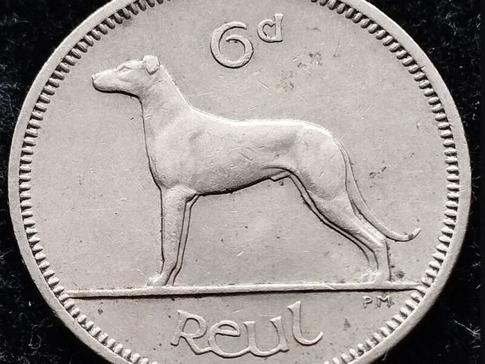 [#347] - Ireland 1962 | Irish 6p | Six Pence | Wolfhound | KM.13a