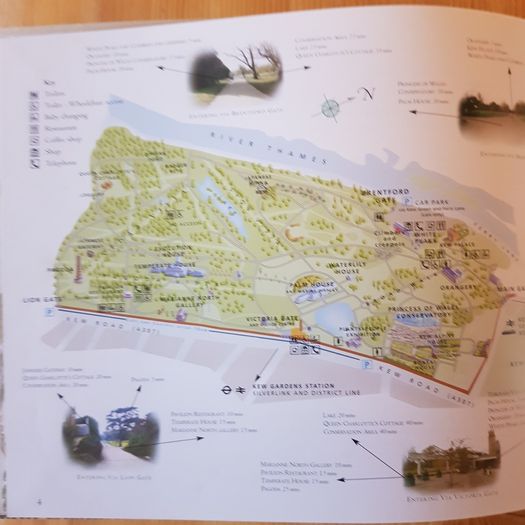 Kew Royal Botanic Kew Gardens Souvenir Guide.