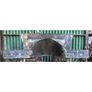 Antique Copper Fire Hood KAS187 Image 3