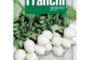 (R) Fr. Radish seeds Tondo Bianco Large 15g pack (805823)