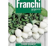 (R) Fr. Radish seeds Tondo Bianco Large 15g pack (805823)