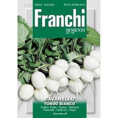 (R) Fr. Radish seeds Tondo Bianco Large 15g pack (805823)