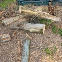 wood logs