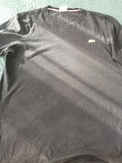 Lacost men's tee shirt