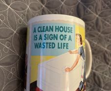 A clean House Is A Sign Of A Wasted Life Mug