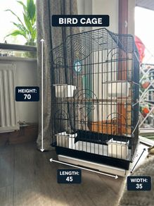 parrot/bird cage