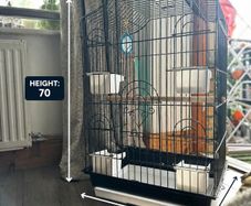 parrot/bird cage