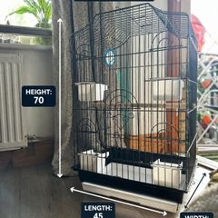 parrot/bird cage