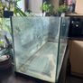 Fish Tank- Priced for quick sale Image 2