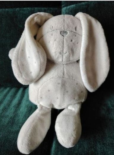 Grey Bunny