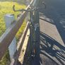 Trek road bike Image 3