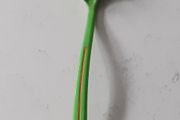 IKEA Spaghetti Serving Spoon Pasta Server