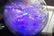 Light in fish bowl
