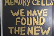 Memory Cells CD - We Have Found The New Jerusalem