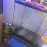 terrarium Image 2