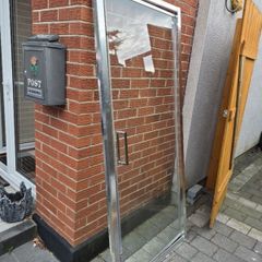 Shower door