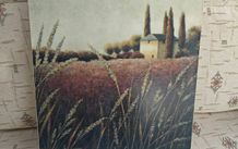 Tuscan Fields II