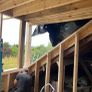 Attic Conversions Image 3