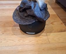 Champion horse riding helmets