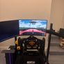 Racing Simulator Image 4