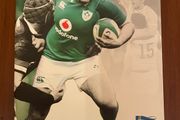 2018 Ireland V Argentina Rugby Program