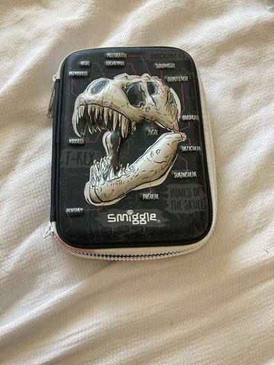 dinosaur pencil case