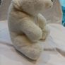 Soft Cuddly Bear in a box Image 3