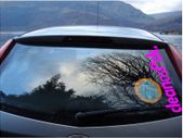 clean as f. car sticker large jdm euro