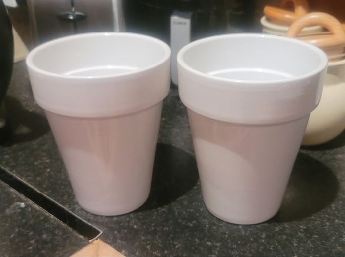 Ceramic Infoor/Outdoor Plant Pots x2