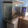 Fish Tank and accessories Image 4