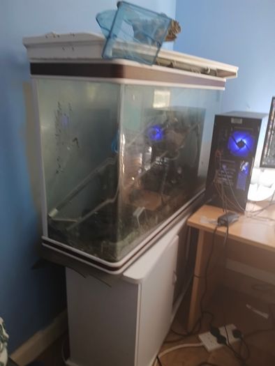 Fish Tank and accessories