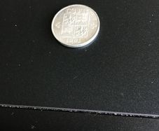 Very rare coin from a State that no longer exists
