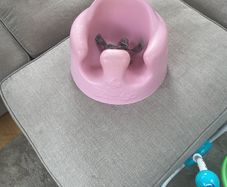 pink baby bumbo