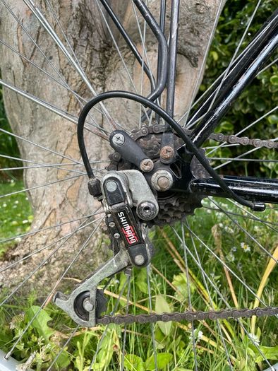 Trekking bike