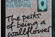 The Perks Of Being A Wallflower by Stephen Chbosky.