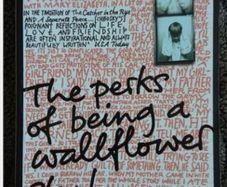 The Perks Of Being A Wallflower by Stephen Chbosky.