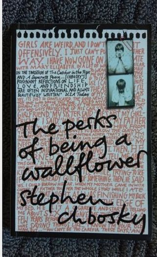 The Perks Of Being A Wallflower by Stephen Chbosky.