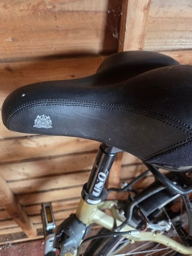 Ladies bike