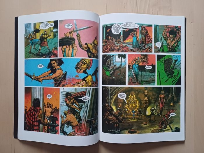 Slaine Demon Killer (TPB Graphic Novel 2000AD Fantasy Paperback 2010)