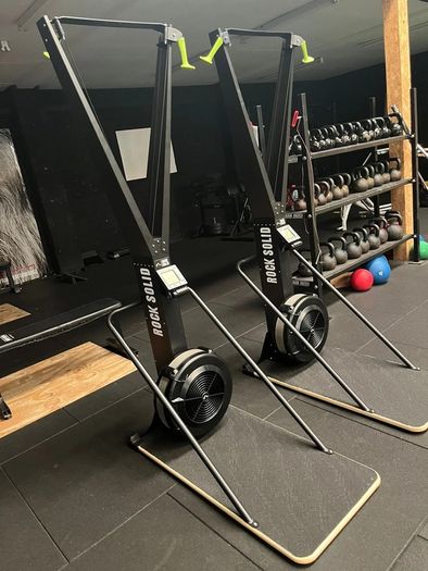 Ski Erg (new in box)