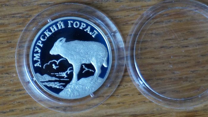 1 Rouble 2002 y. silver. Russia